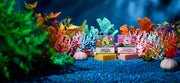 SpongeBob 4-Pack A7