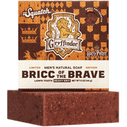 Bricc of the Brave T9