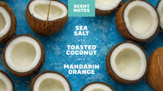 Coconut Castaway Lotion C1