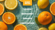 Summer Citrus Hand Soap K3