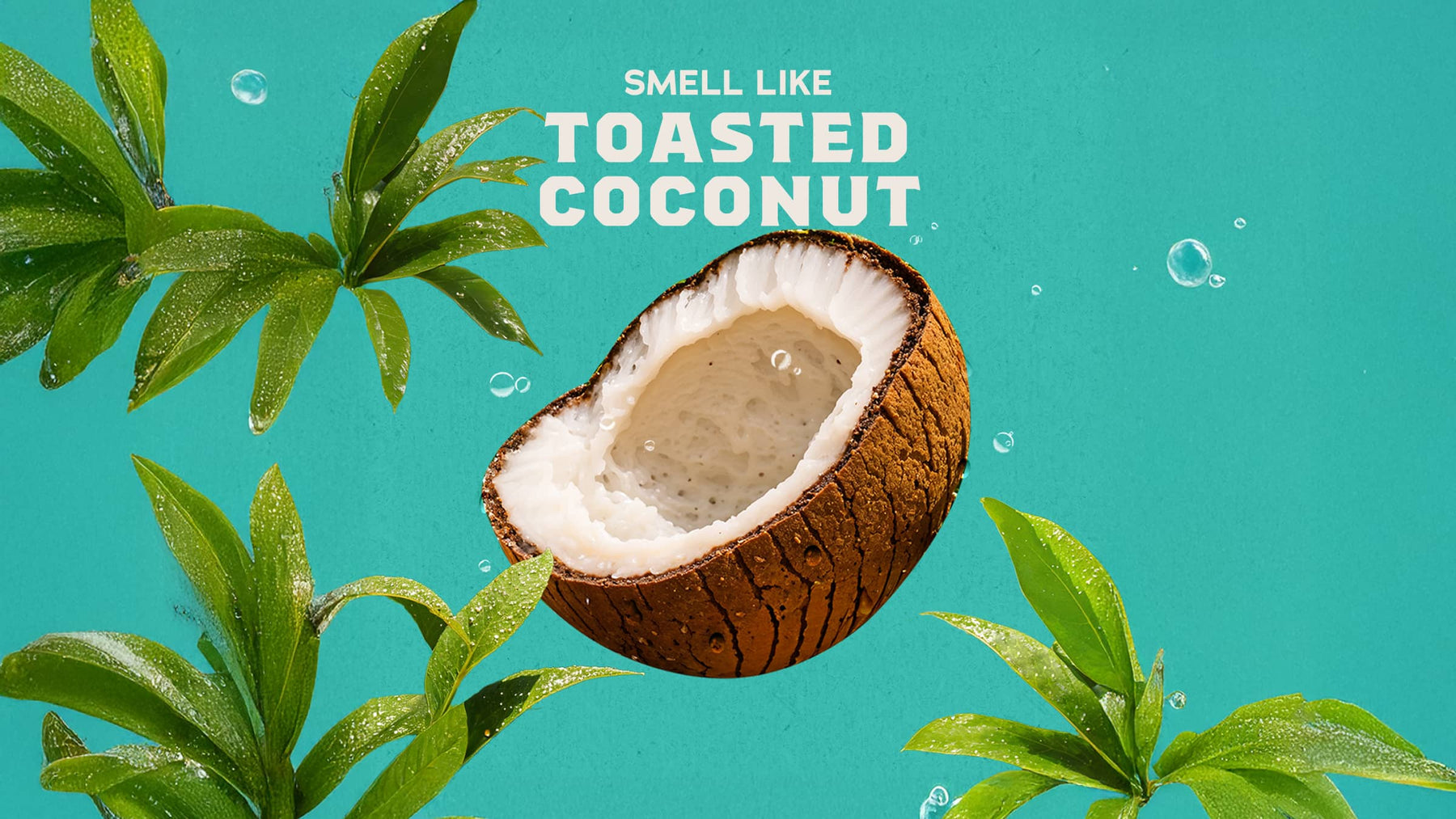 Coconut Castaway Hand Soap C0