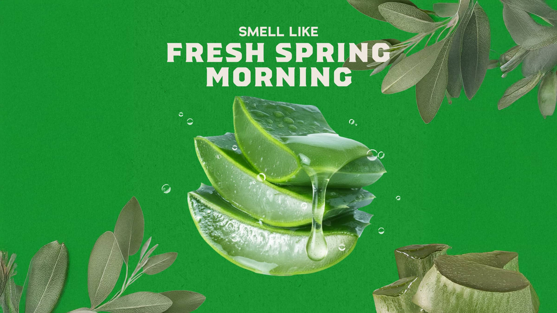 Cool Fresh Aloe Lotion C3