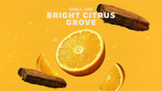Summer Citrus Hand Soap K3